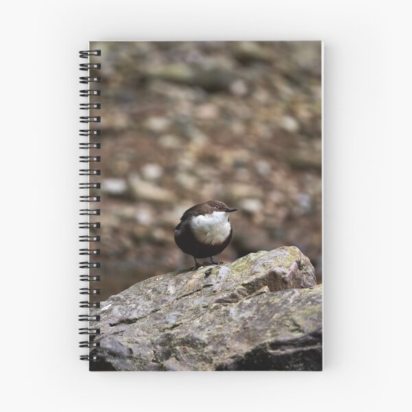 Item preview, "Dipper (Cinclus cinclus)" designed and sold by Andreas Koerner.
