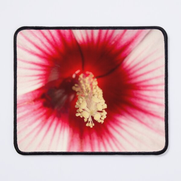 Item preview,  Pale Pink Hibiscus Bloom with Hot Red Heart designed and sold by Georgia Mizuleva.