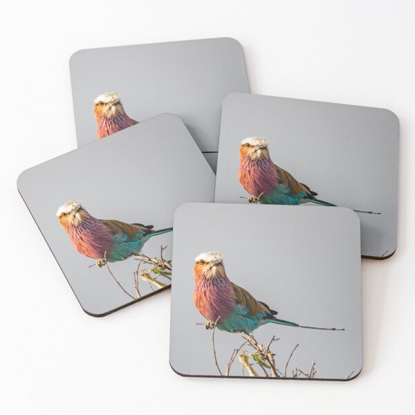 Item preview, lilac breasted roller designed and sold by Ingo Gerlach.