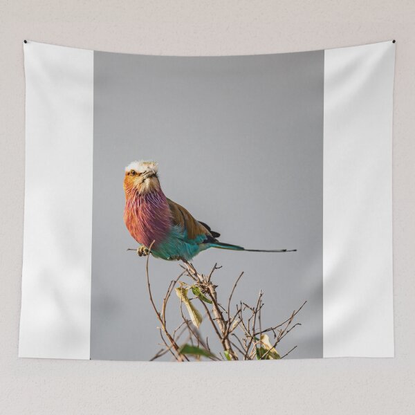 Item preview, lilac breasted roller designed and sold by Ingo Gerlach.