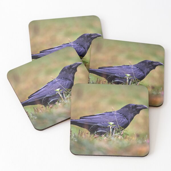 Item preview, "chrackter bird" designed and sold by Andreas Koerner.