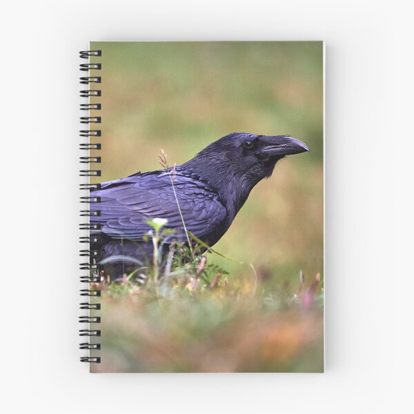 Item preview, "chrackter bird" designed and sold by Andreas Koerner.