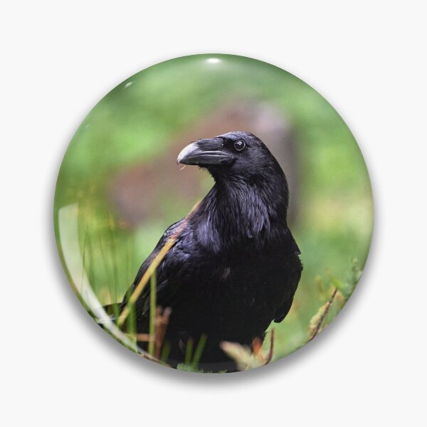 Item preview, "chrackter bird" designed and sold by Andreas Koerner.