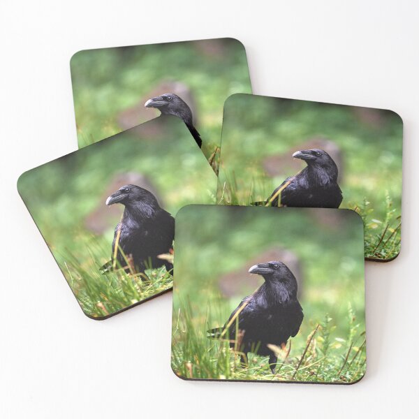 Item preview, "chrackter bird" designed and sold by Andreas Koerner.