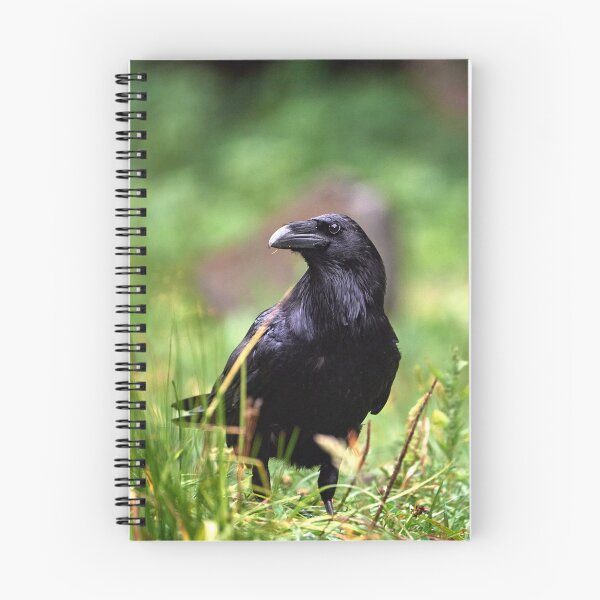 Item preview, "chrackter bird" designed and sold by Andreas Koerner.
