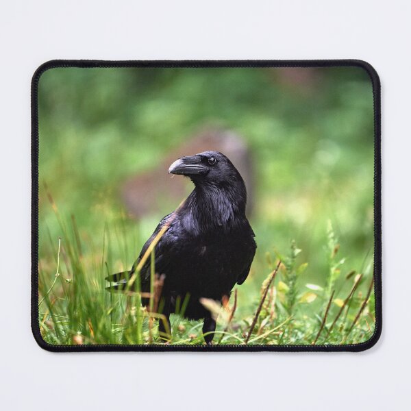 Item preview, "chrackter bird" designed and sold by Andreas Koerner.