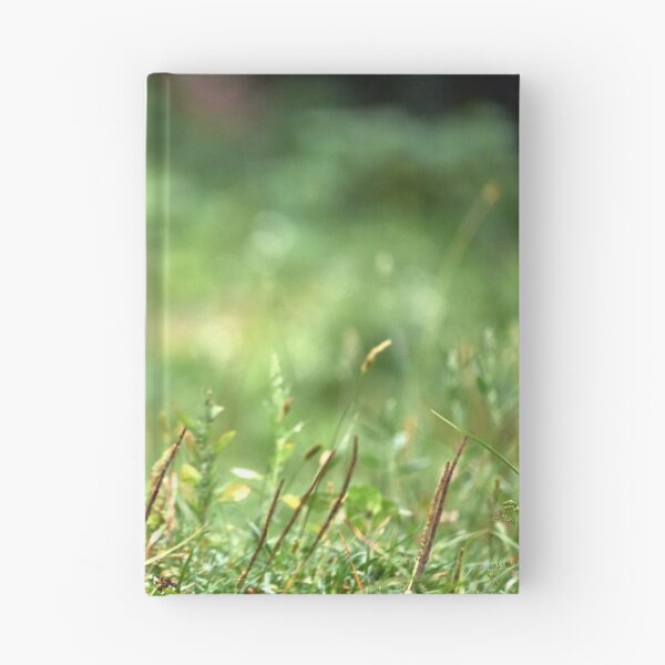 Item preview, "chrackter bird" designed and sold by Andreas Koerner.
