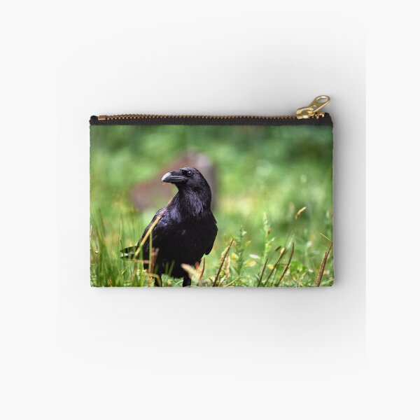 Item preview, "chrackter bird" designed and sold by Andreas Koerner.
