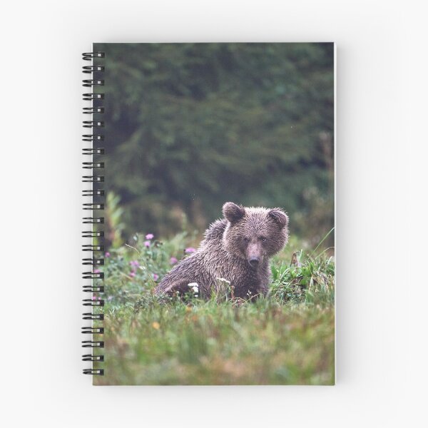 Item preview, "floppy ear" designed and sold by Andreas Koerner.