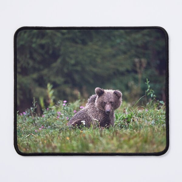 Item preview, "floppy ear" designed and sold by Andreas Koerner.