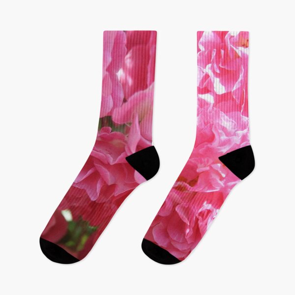 Item preview, Pink Climbing Roses designed and sold by taiche.