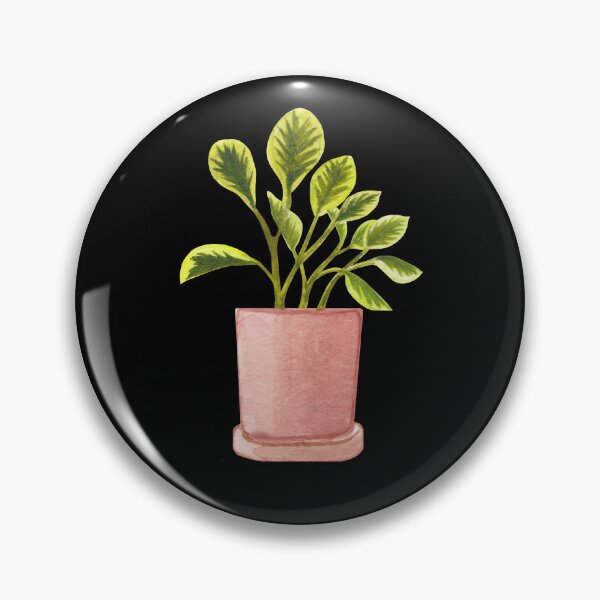 Item preview, Golden Peperomia Obtusifolia Variegata/Marble Plant Mini designed and sold by franzandsabina.