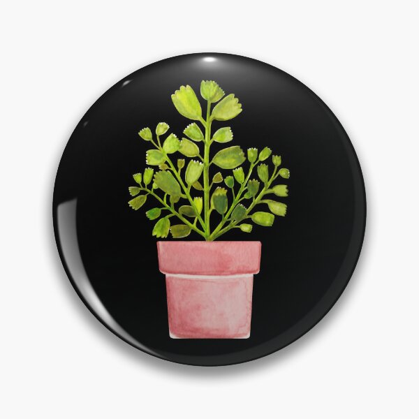Item preview, Bear's Paw Succulent Cactus Art Print Mini designed and sold by franzandsabina.