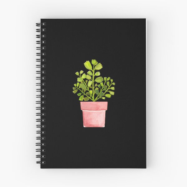 Item preview, Bear's Paw Succulent Cactus Art Print Mini designed and sold by franzandsabina.