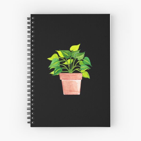 Item preview, Bare Root Philodendron Brazil/Pothos Plant Mini designed and sold by franzandsabina.