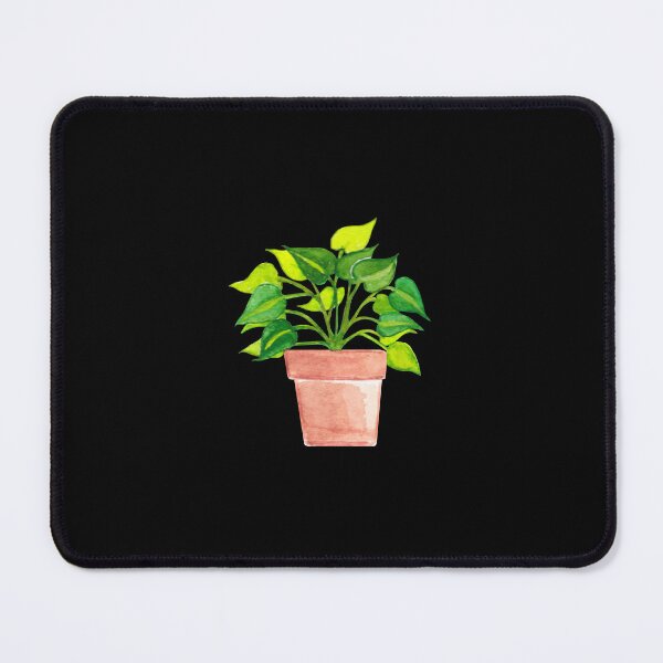 Item preview, Bare Root Philodendron Brazil/Pothos Plant Mini designed and sold by franzandsabina.