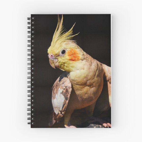Item preview, Punky Parrot designed and sold by Eidetic Photos.