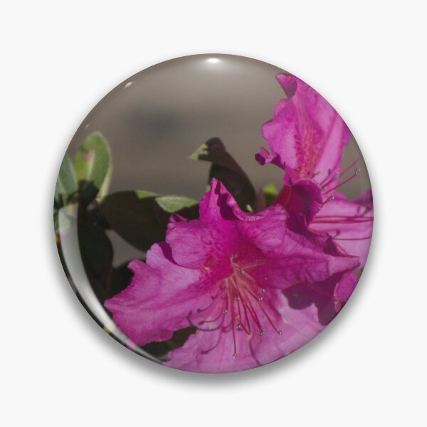 Item preview, Azalea Bloom designed and sold by MercerImages.