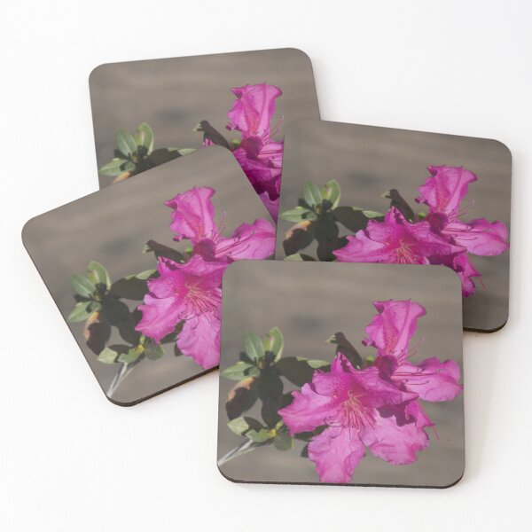 Item preview, Azalea Bloom designed and sold by MercerImages.