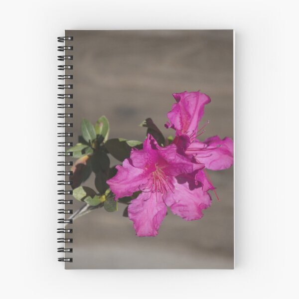 Item preview, Azalea Bloom designed and sold by MercerImages.