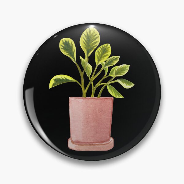 Item preview, Golden Peperomia Obtusifolia Variegata/Marble Plant designed and sold by franzandsabina.