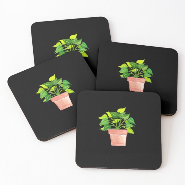Item preview, Bare Root Philodendron Brazil/Pothos Plant designed and sold by franzandsabina.