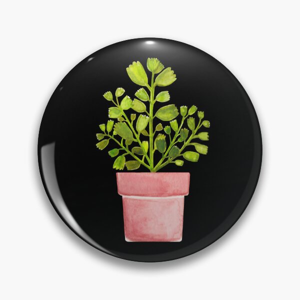 Item preview, Bear's Paw Succulent Cactus Art Print designed and sold by franzandsabina.