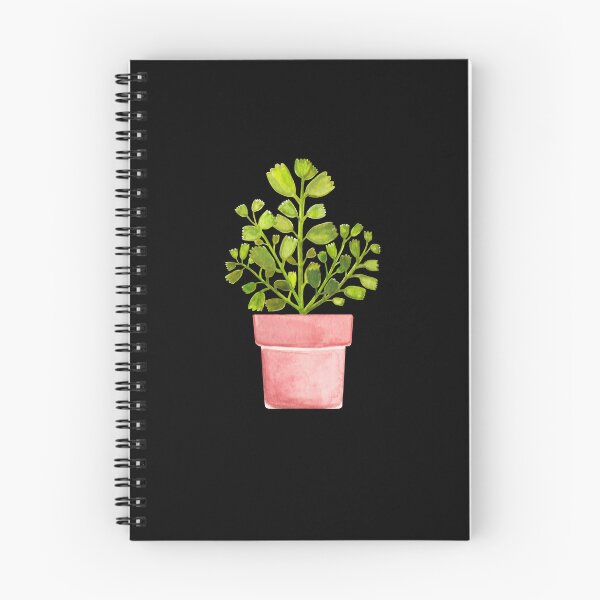 Item preview, Bear's Paw Succulent Cactus Art Print designed and sold by franzandsabina.