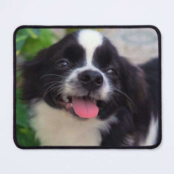 Item preview, LOVE IS A FOUR-LEGGED WORD designed and sold by likbatonboot.
