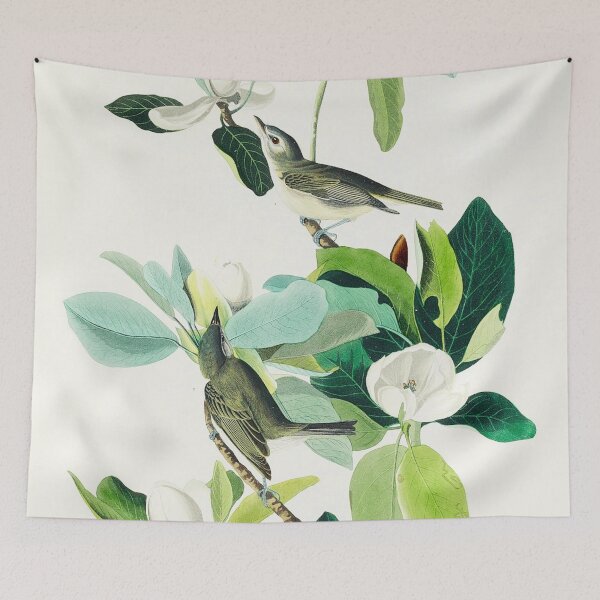 Item preview, Vintage Warbling Flycatcher Illustration | P194 designed and sold by Piccolo Fiore Prints.