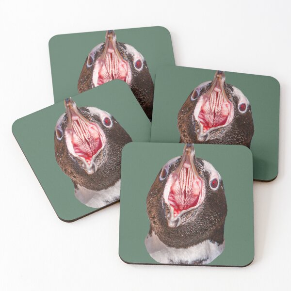 Item preview, Humboldt Penguin open wide for the dentist designed and sold by Dalyndigital Photography.