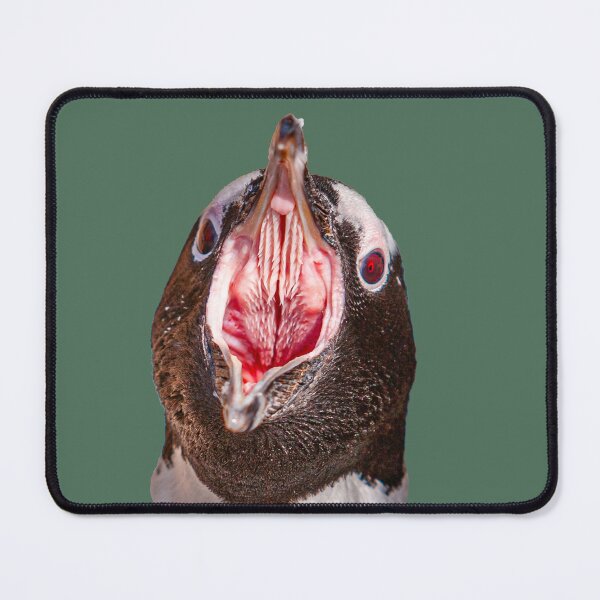Item preview, Humboldt Penguin open wide for the dentist designed and sold by Dalyndigital Photography.
