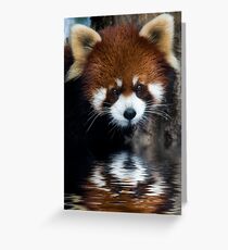 Early Morning Drink Greeting Card
