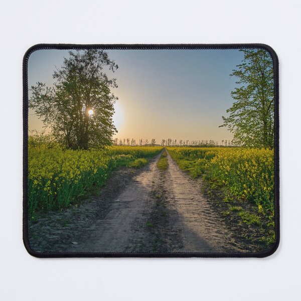 Item preview, View of rapeseed and the setting sun designed and sold by ThomasFoto.
