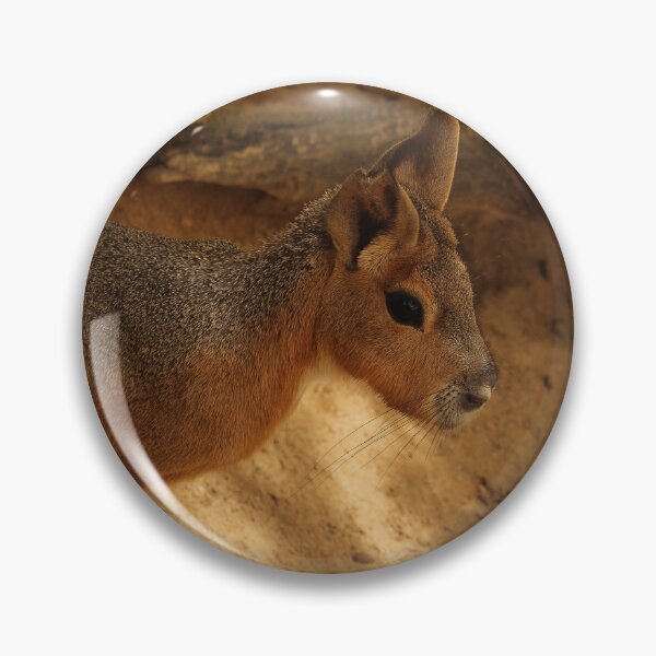 Item preview, Patagonian Cavy Jerez Zoo designed and sold by eddiebarronshop.
