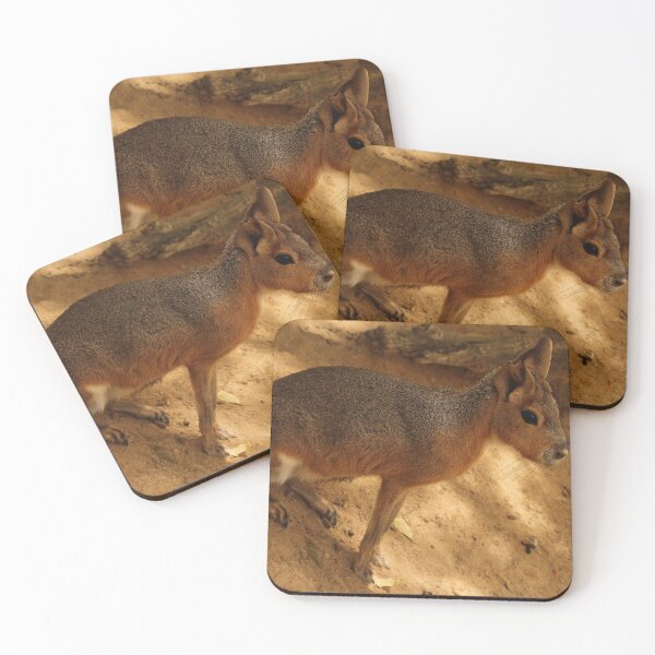 Item preview, Patagonian Cavy Jerez Zoo designed and sold by eddiebarronshop.