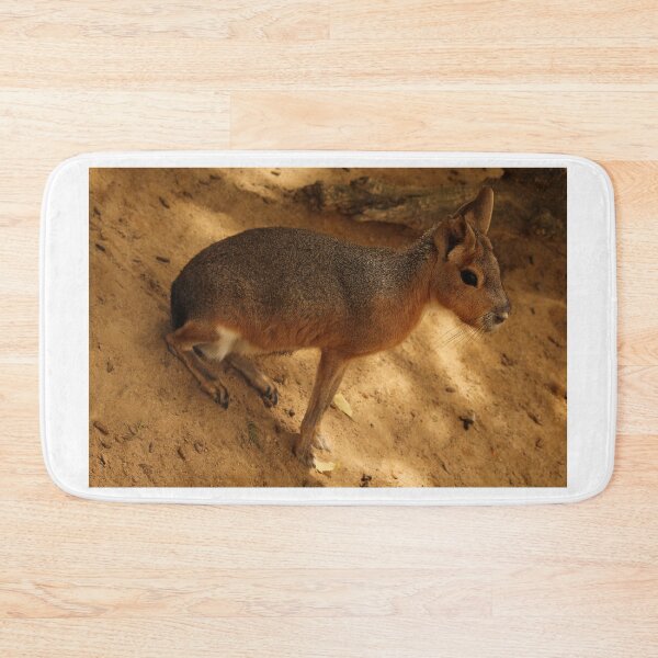 Item preview, Patagonian Cavy Jerez Zoo designed and sold by eddiebarronshop.