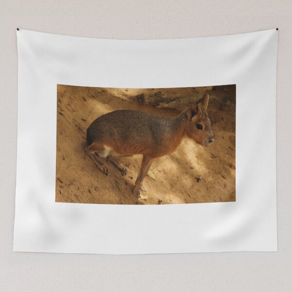Item preview, Patagonian Cavy Jerez Zoo designed and sold by eddiebarronshop.