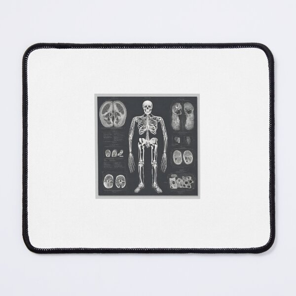 Item preview, Radiology poster 1 designed and sold by 17Secrets.