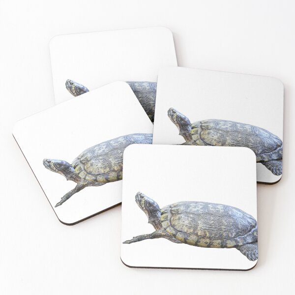 Item preview, A beautiful tortoise looking at the sky designed and sold by ThomasFoto.