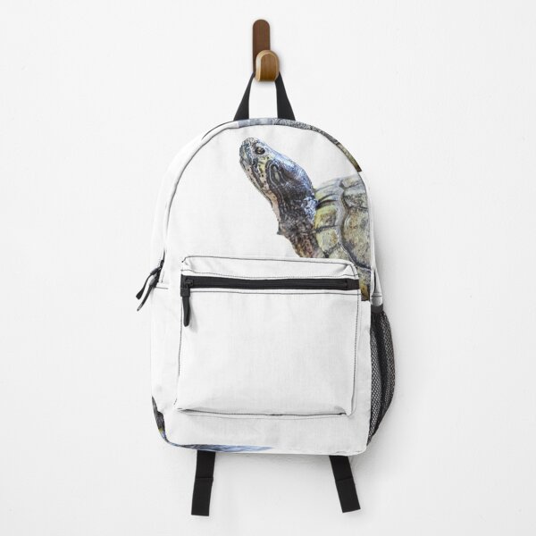 Item preview, A beautiful tortoise looking at the sky designed and sold by ThomasFoto.