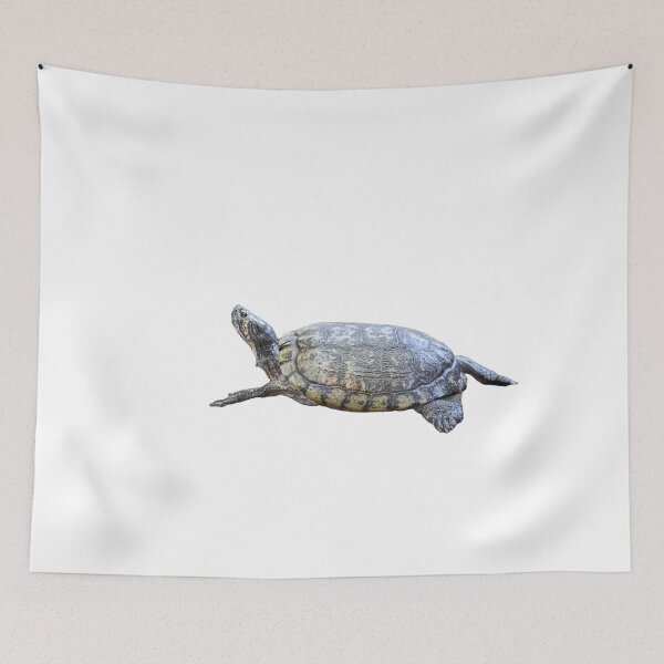 Item preview, A beautiful tortoise looking at the sky designed and sold by ThomasFoto.