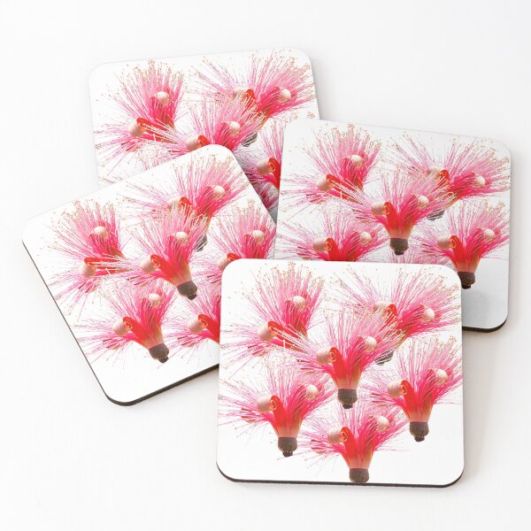Item preview, Flowers of a Shaving brush tree designed and sold by Dalyndigital Photography.