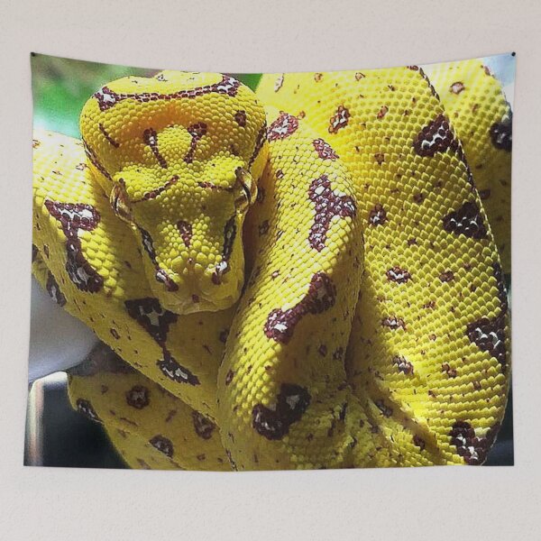 Item preview, GREEN TREE SNAKE II designed and sold by BOLLA67.