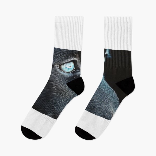 Item preview, BLACK SHEPHERD DOG WITH BLUE EYES BLACK BACKGROUND  designed and sold by JOTAMIKE.