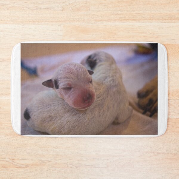 Item preview, lla just cute designed and sold by pcfyi.
