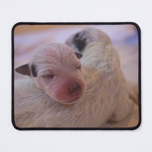 Item preview, lla just cute designed and sold by pcfyi.