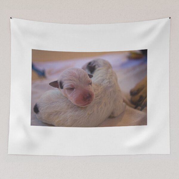 Item preview, lla just cute designed and sold by pcfyi.