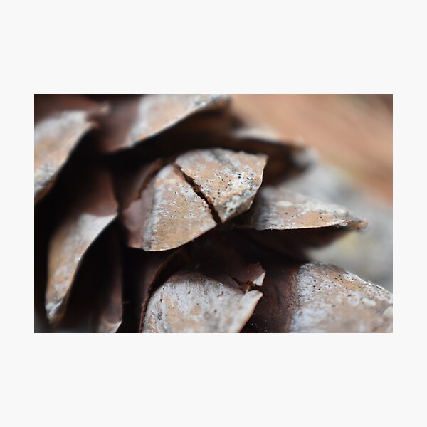 Item preview, Close Up Pine Cone designed and sold by Rett-Hill.