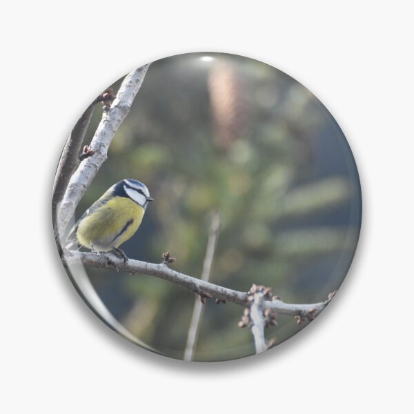 Item preview, Eurasian Blue Tit designed and sold by Alison Stevens.